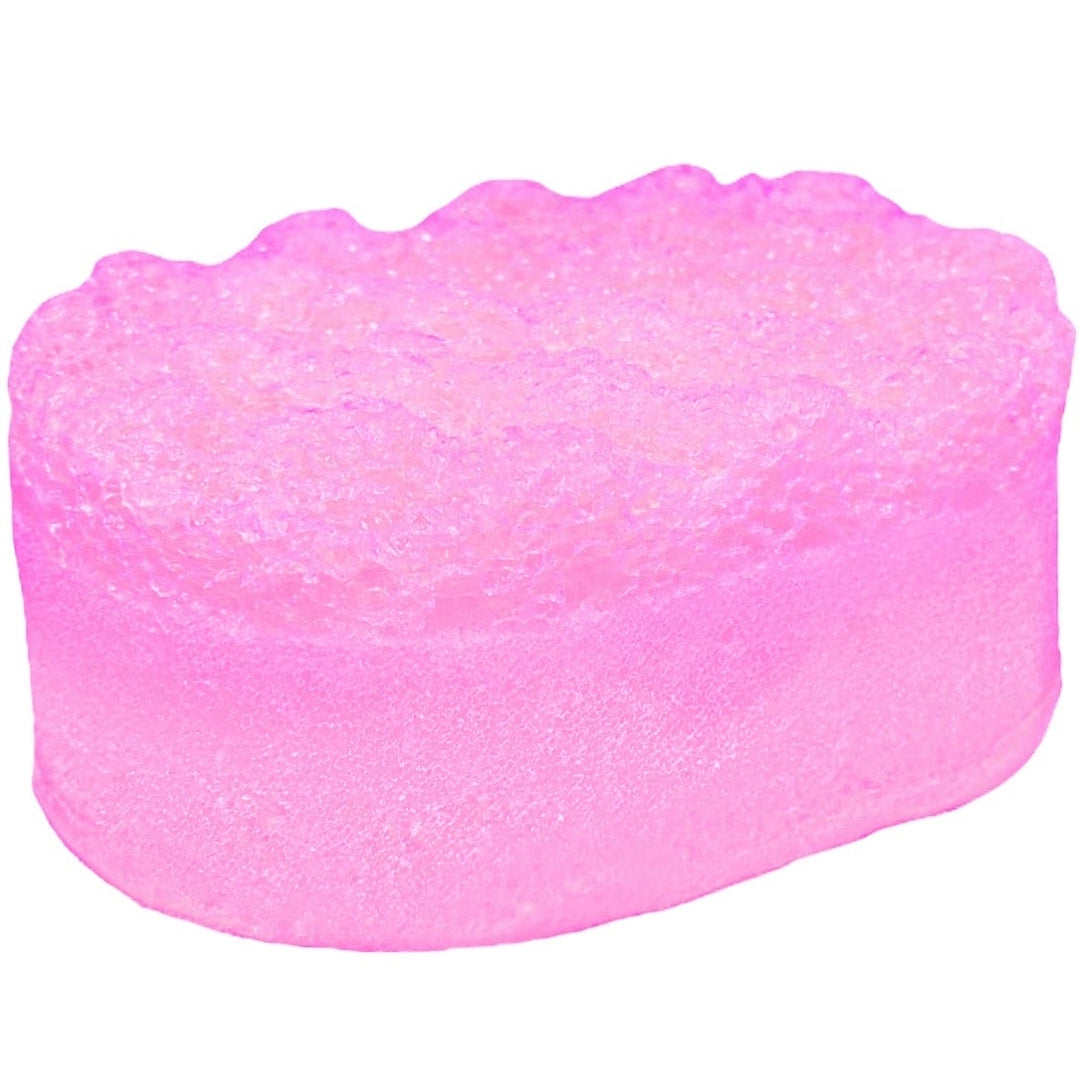 Coconut Soap Sponge
