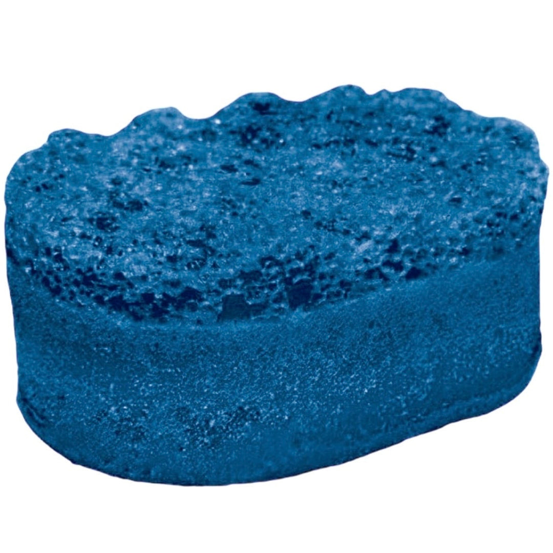 Invincible (Invictus) Soap Sponge