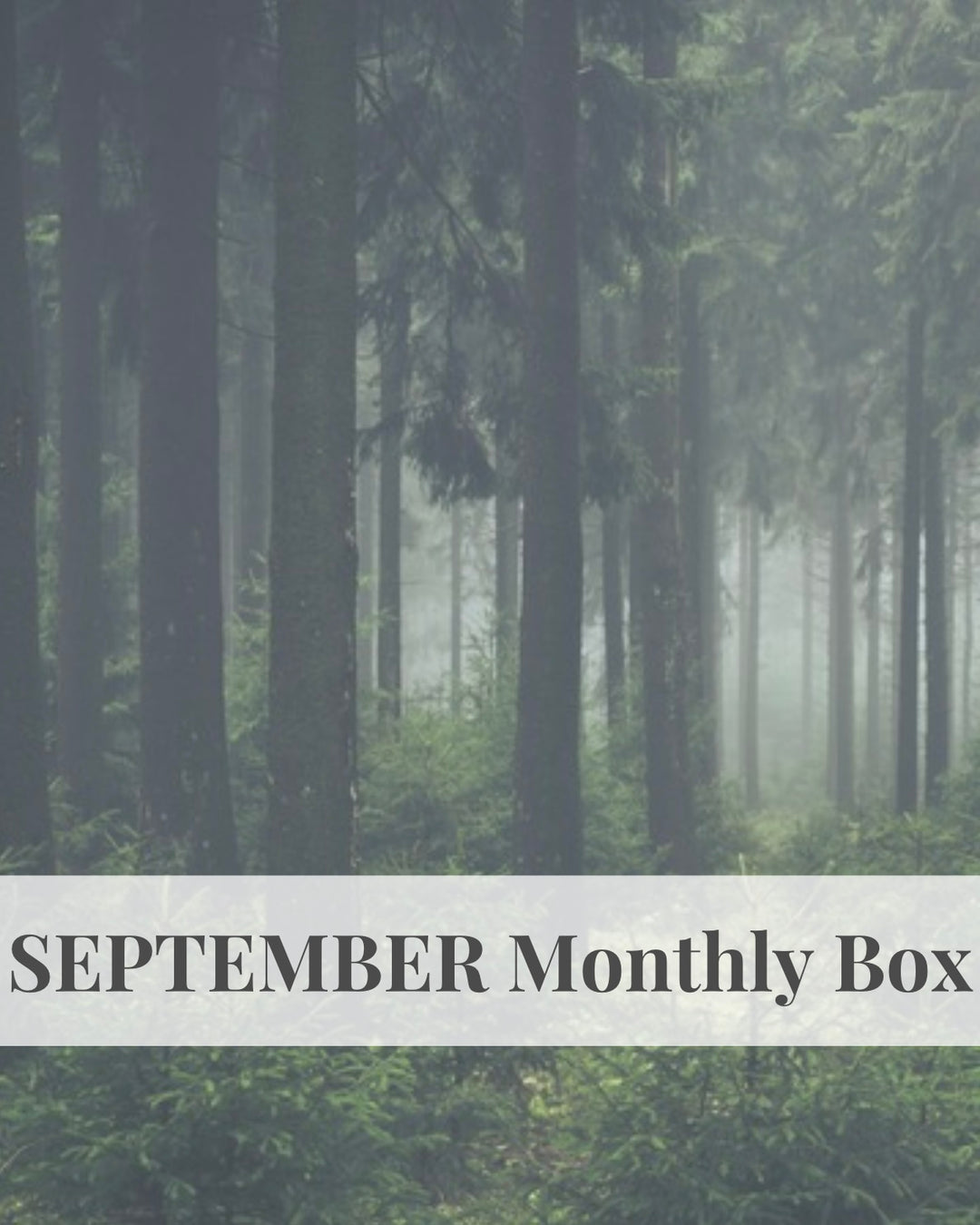 One-Off SEPTEMBER Monthly Box