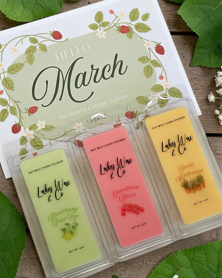March Wax Melt Box