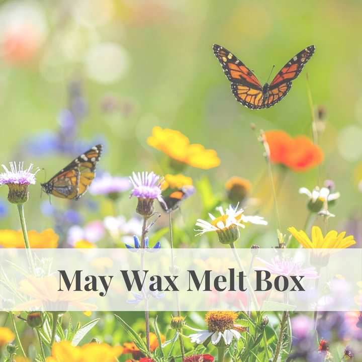 May Wax Melt Box